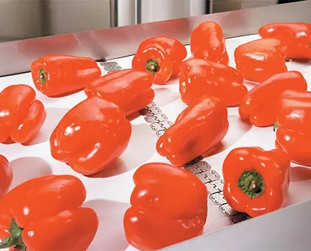 Аллигатор Реди Сет РС125